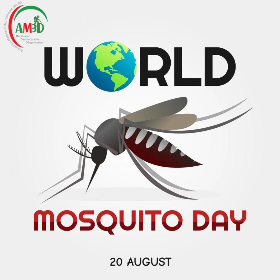 20 غشت – اليوم العالمي للبعوض