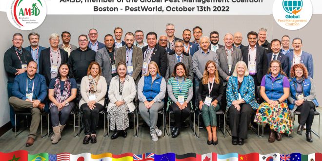 LES PROFESSIONNELS 3D REPRESENTENT LE MAROC A L’INTERNATIONAL